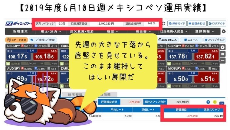 2019年6月10日週メキシコペソ運用実績