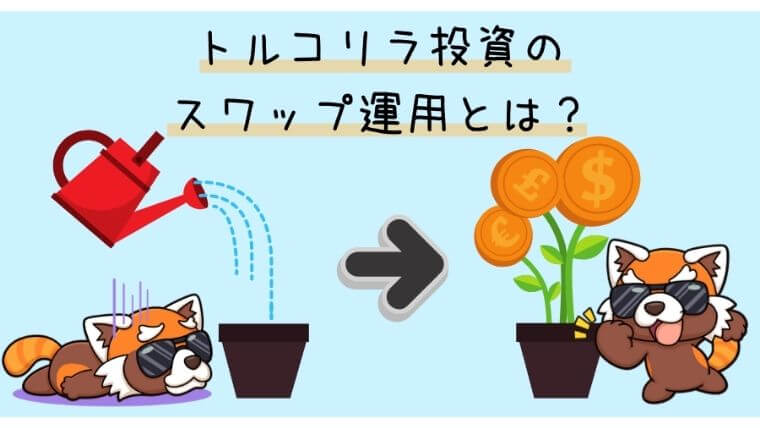 トルクリラ投資のスワップ運用とは？
