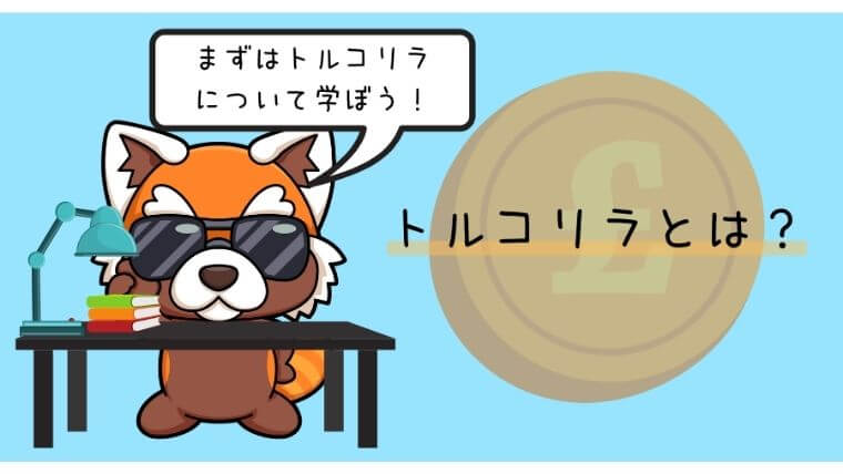 トルコリラとは？