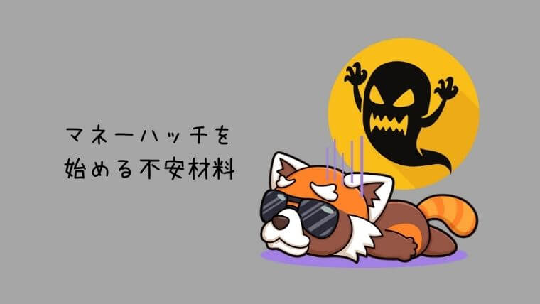 マネーハッチを始める不安材料